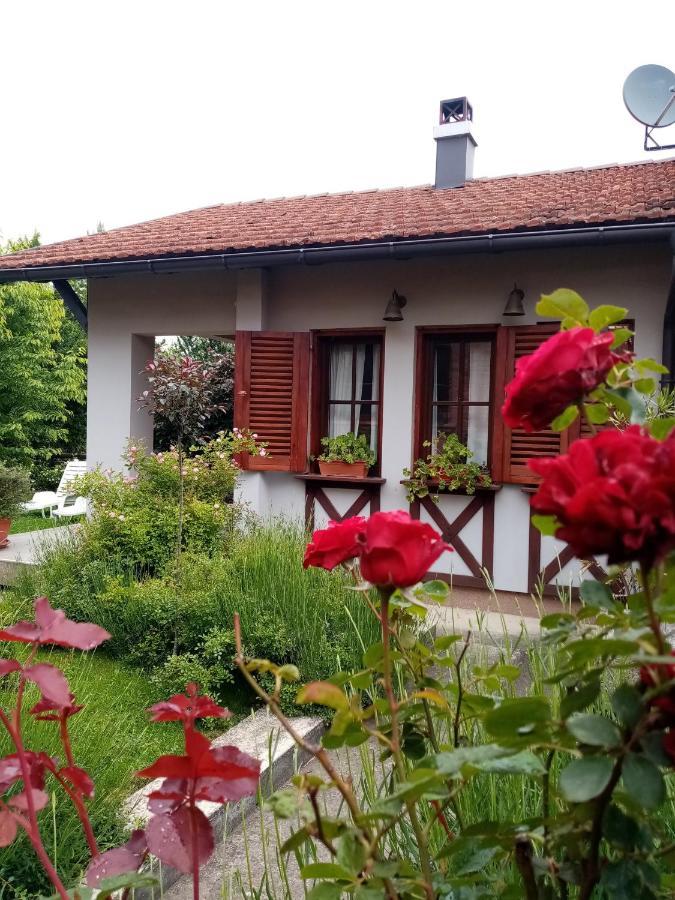 Apartmán Nikolija 1 Bajina Basta Exteriér fotografie