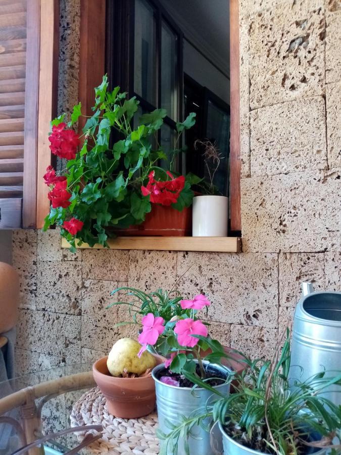 Apartmán Nikolija 1 Bajina Basta Exteriér fotografie